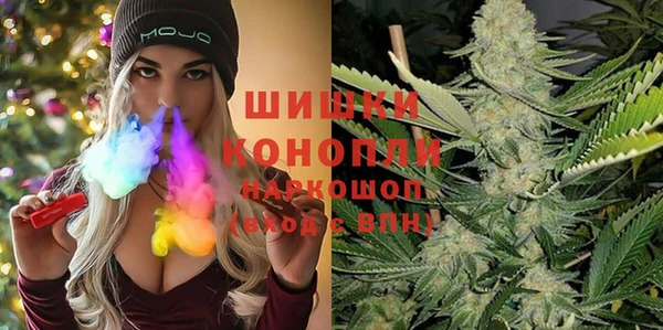 дмт Осташков
